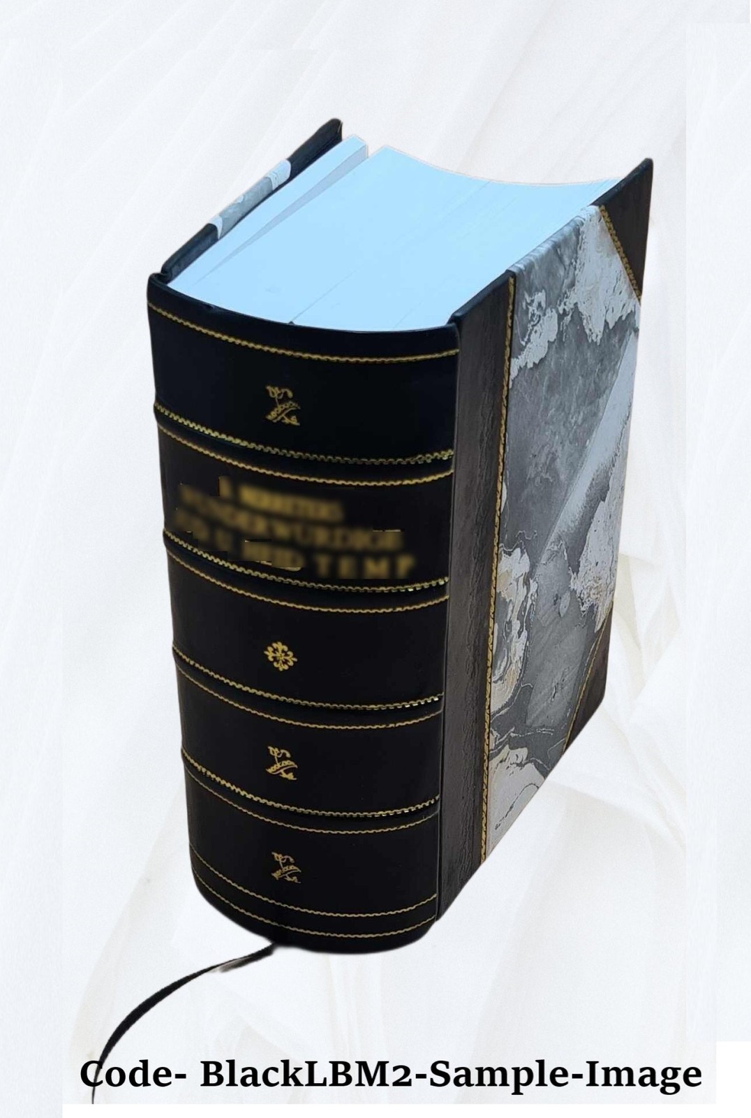 Black’s Law Dictionary 1st Edition 1891 1891 by HENRY CAMPBELL B [Leather Bound]